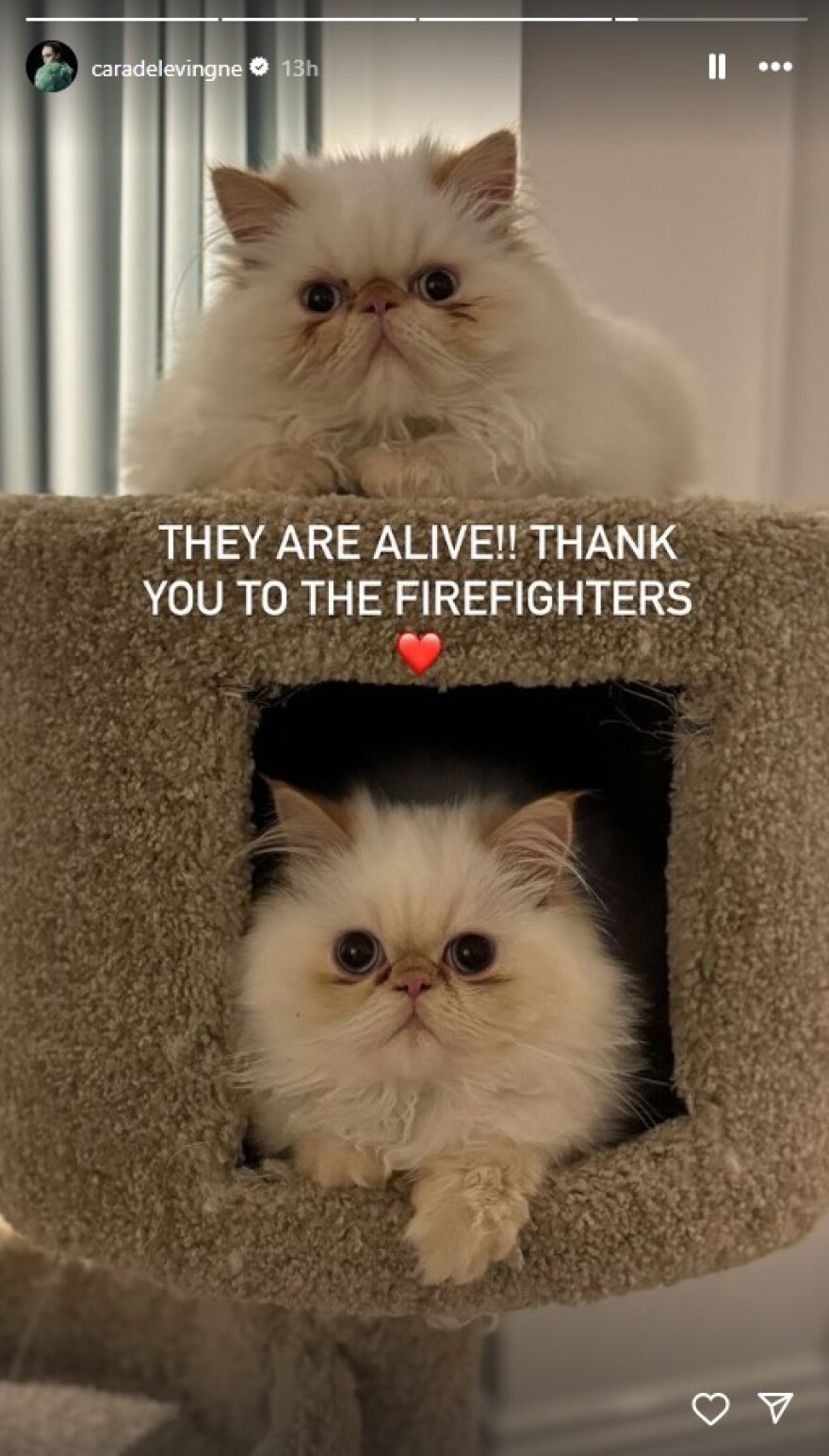 Κάρα Ντελεβίν: Το μήνυμα μετά την πυρκαγιά στο σπίτι της - Η ζωή μπορεί να αλλάξει μέσα σε μια στιγμή, είπε 