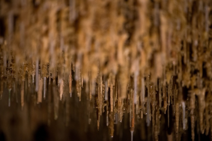 Χαλκιδική: Ανοίγει μετα από 5 χρόνια το σπήλαιο των Πετραλώνων - Το εντυπωσιακό «Σπίτι του Αρχανθρώπου»