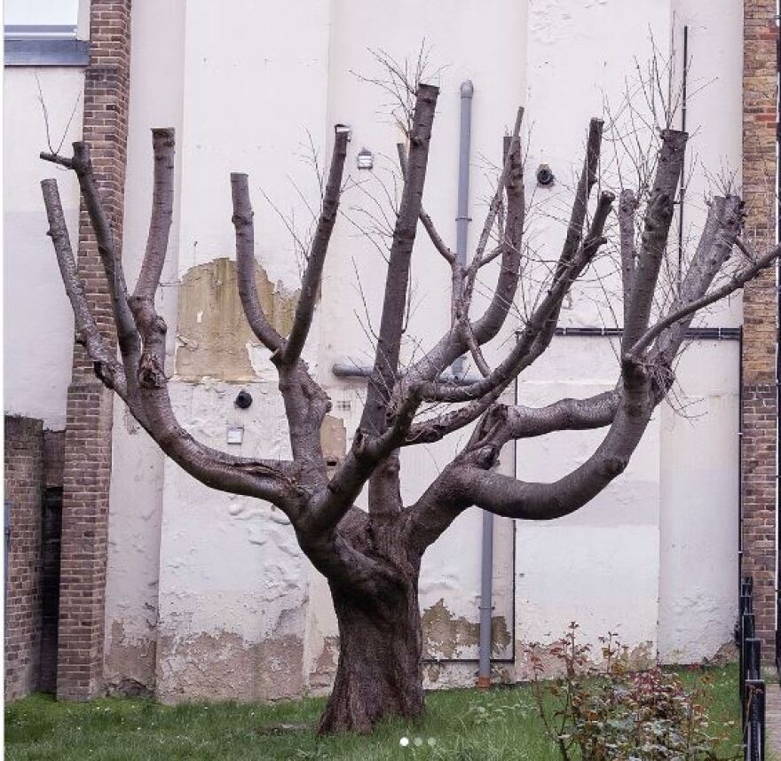 Μέσα σε «βιτρίνα» από πλαστικό το βανδαλισμένο τελευταίο έργο του Banksy