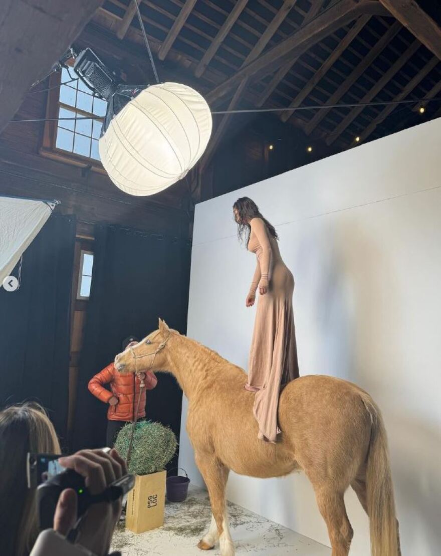 Μπέλα Χαντίντ: Οργή με το μοντέλο που πατάει πάνω σε άλογο για φωτογράφηση - Το βασανίζεις, της γράφουν