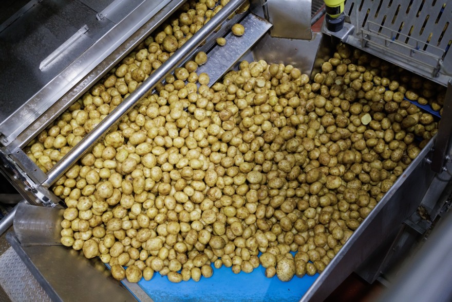 Αυτό που κρύβεται πίσω από κάθε σπουδαίο πατατάκι