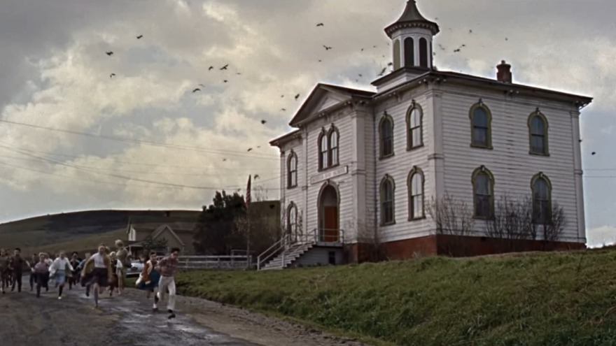 «Τα Πουλιά»: Οι τρομακτικές αληθινές ιστορίες πίσω από τα γυρίσματα της εμβληματικής ταινίας του Χίτσκοκ