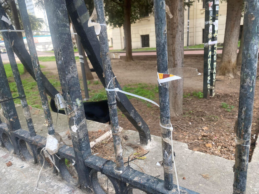 Θεσσαλονίκη: Ροτβάιλερ επιτέθηκε σε φοιτητές στο ΑΠΘ και τους έσκισε τα ρούχα