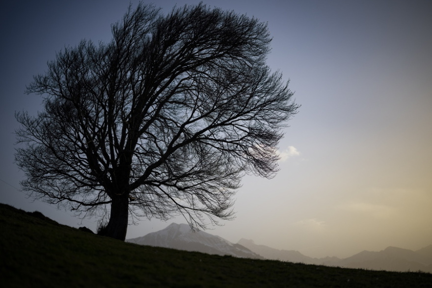 Συναγερμός στην Ευρώπη για την αφρικανική σκόνη - 180.000 τόνοι άμμου κάλυψαν τον ουρανό της Ελβετίας - Δείτε φωτογραφίες