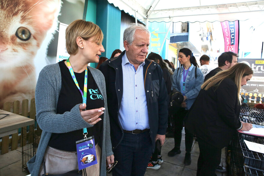 15η Ημέρα Υιοθεσίας Pet City - Topetmou.gr: Ένα σπίτι μια αγκαλιά για κάθε αδεσποτάκι