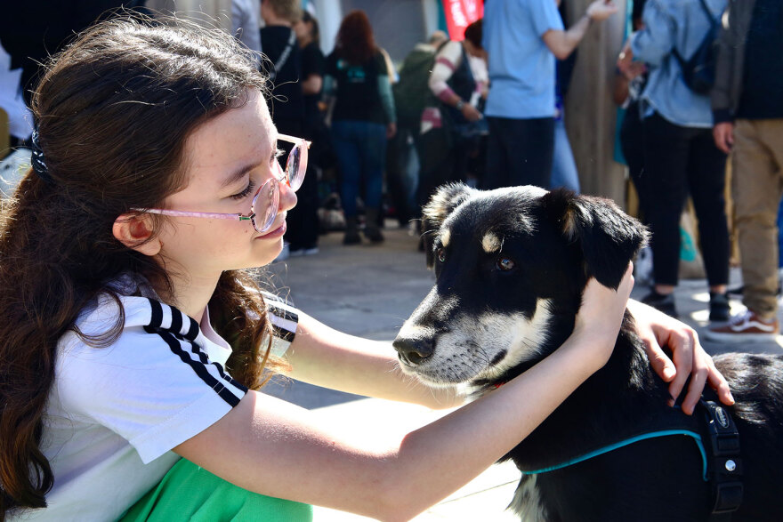 15η Ημέρα Υιοθεσίας Pet City - Topetmou.gr: Ένα σπίτι μια αγκαλιά για κάθε αδεσποτάκι
