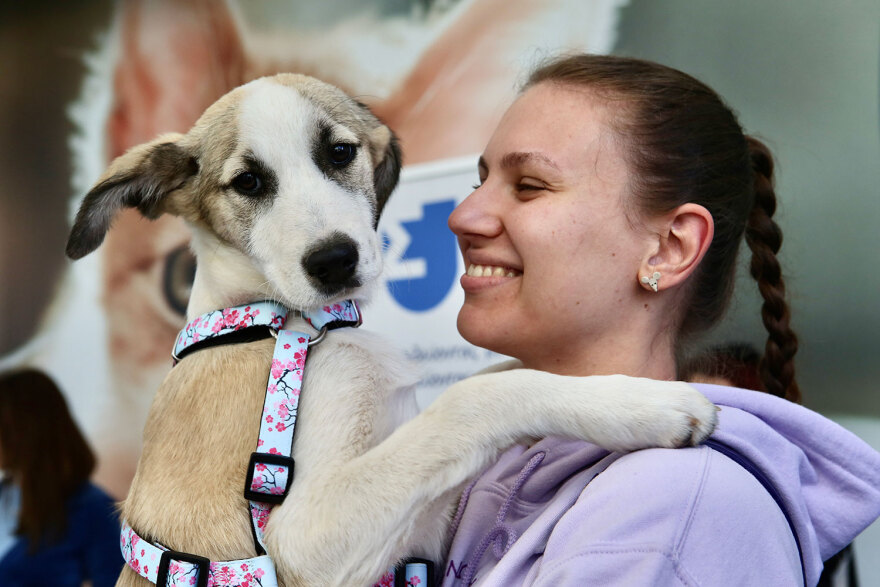 15η Ημέρα Υιοθεσίας Pet City - Topetmou.gr: Ένα σπίτι μια αγκαλιά για κάθε αδεσποτάκι