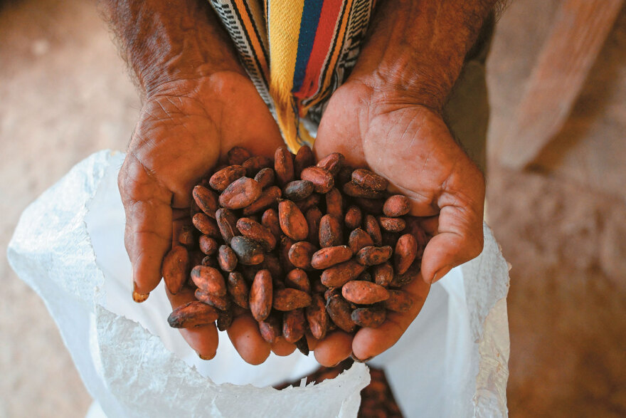 Πώς η κλιματική κρίση εκτοξεύει τις τιμές - Από το ελαιόλαδο που αυξήθηκε κατά 613%, στο ρύζι, τις ντομάτες και τα φασολάκια