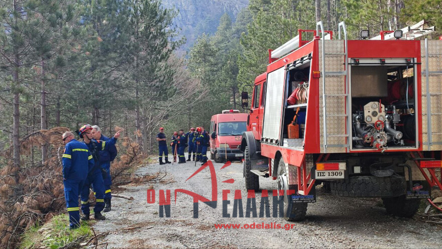Μαίνεται η φωτιά στα Πιέρια Όρη - Ενισχύθηκαν οι δυνάμεις της Πυροσβεστικής