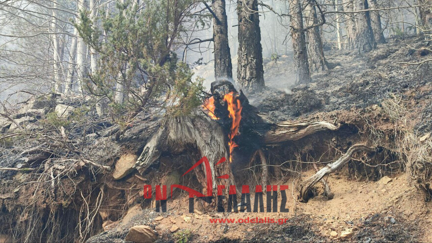 Μαίνεται η φωτιά στα Πιέρια Όρη - Ενισχύθηκαν οι δυνάμεις της Πυροσβεστικής