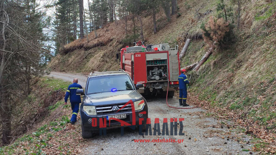 Μαίνεται η φωτιά στα Πιέρια Όρη - Ενισχύθηκαν οι δυνάμεις της Πυροσβεστικής