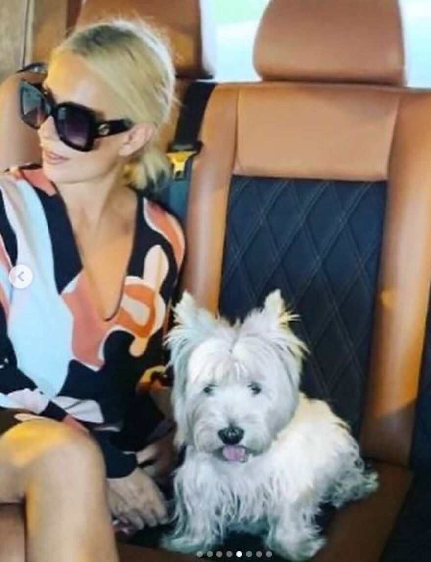 Μαρία Μπακοδήμου: Αποχαιρέτησε τον σκύλο της που τη συντρόφευε για 17 χρόνια - Έχω αποσυντονιστεί αρκετά, γράφει