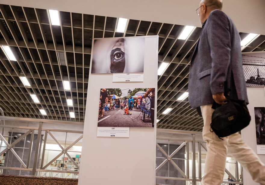 Έκθεση «HIDDEN» για την κακοποίηση των ζώων: Οι φωτογραφίες που συγκλόνισαν τους επιβάτες του Μετρό