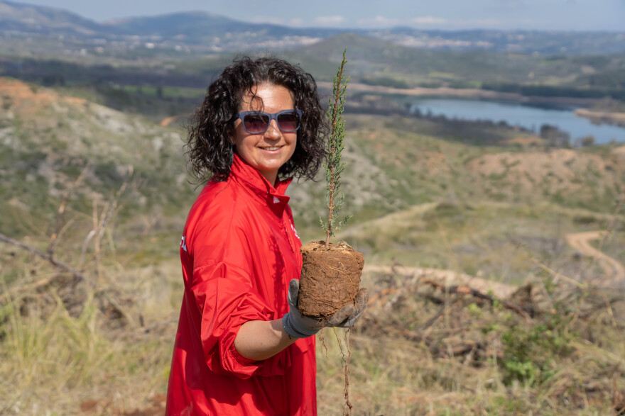 Οι εργαζόμενοι της Henkel Consumer Brands δίνουν ανάσα ζωής στο όρος Πεντέλη