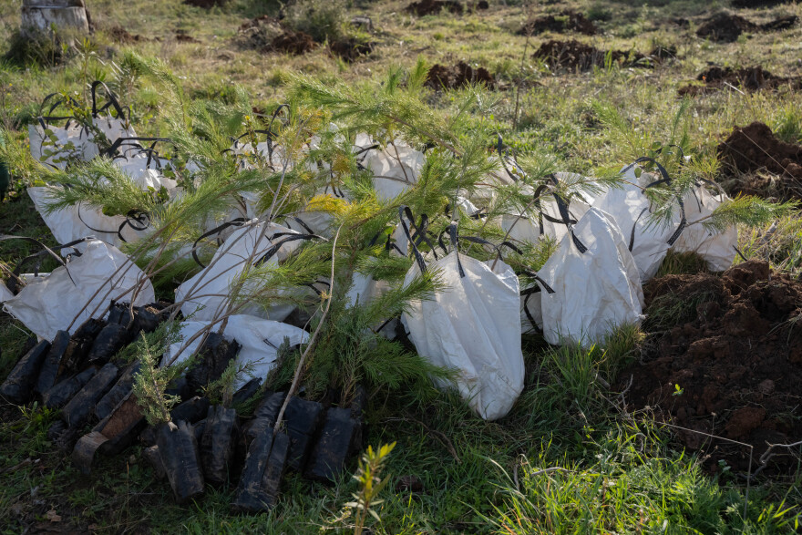 Οι εργαζόμενοι της Henkel Consumer Brands δίνουν ανάσα ζωής στο όρος Πεντέλη