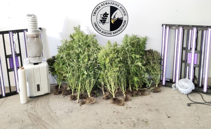 Καλλιεργούσε φυτεία με 35 χασισόδεντρα μέσα στο σπίτι του