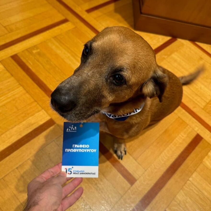 Με διαπίστευση από το γραφείο του πρωθυπουργού ο Πίνατ για το 15ο Συνέδριο της Νέας Δημοκρατίας - Δείτε φωτογραφές