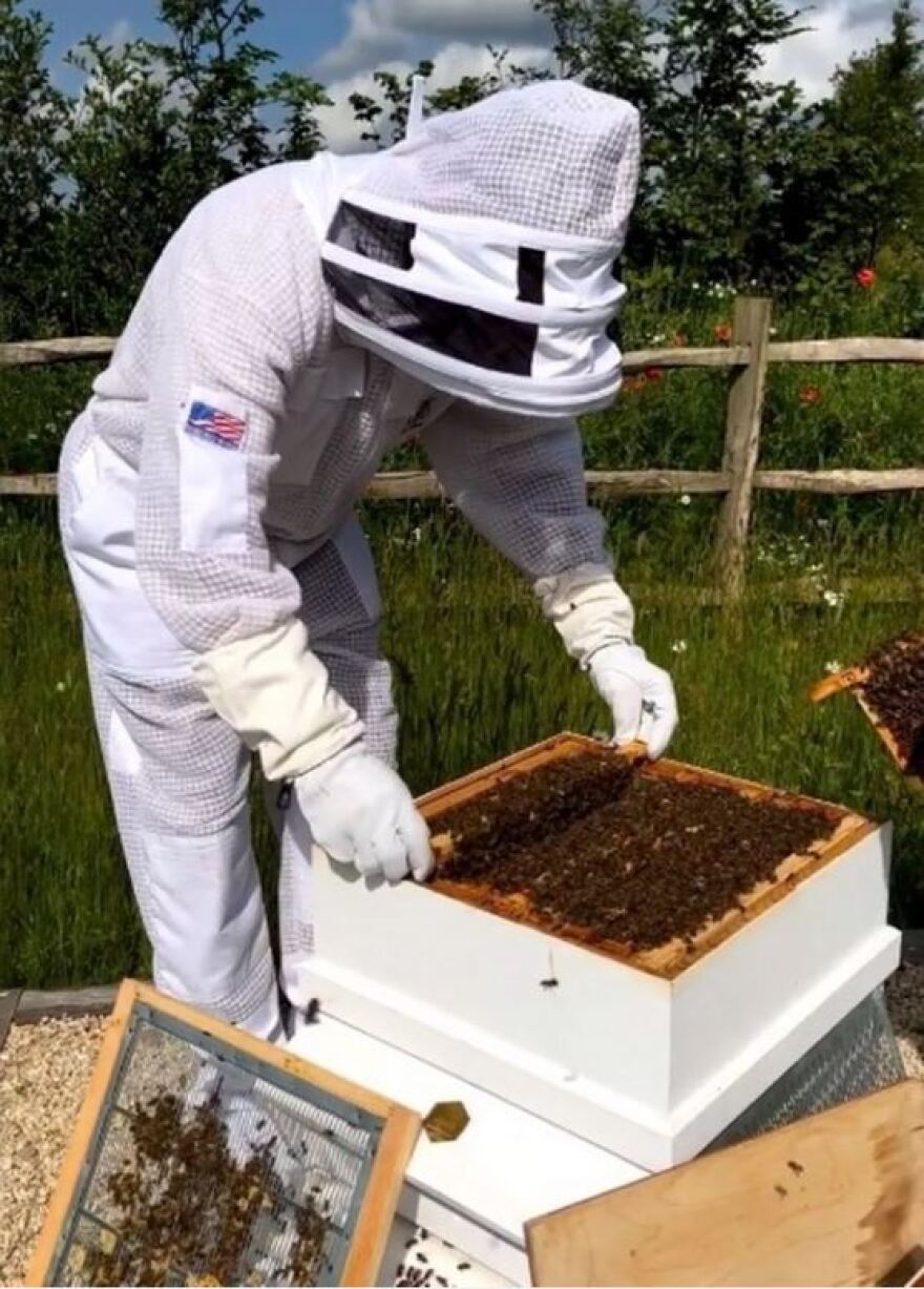 Ο Ντέιβιντ Μπέκαμ χαλαρώνει με τις μέλισσες και τις κότες του - Δείτε βίντεο και φωτογραφίες