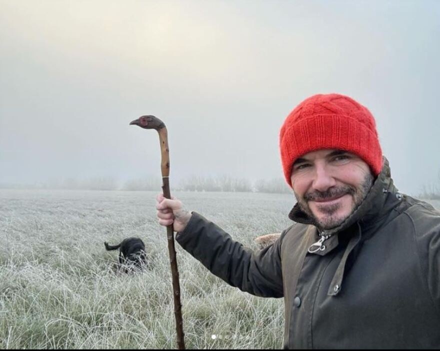 Ο Ντέιβιντ Μπέκαμ χαλαρώνει με τις μέλισσες και τις κότες του - Δείτε βίντεο και φωτογραφίες