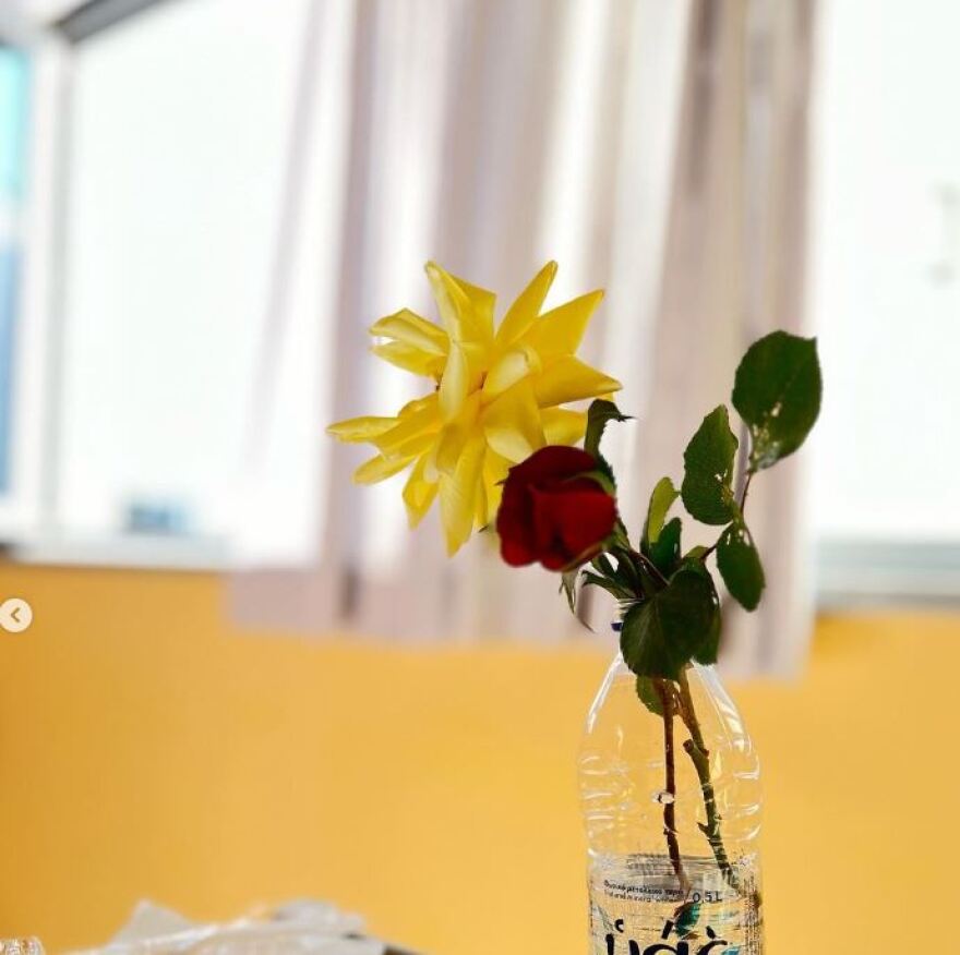 Μελία Κράιλινγκ: Στο νοσοκομείο η πρωταγωνίστρια των «Πανθέων»