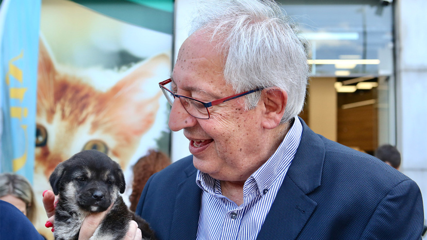 16η Ημέρα Υιοθεσίας Pet City - topetmou.gr: Δέκα σκυλάκια βρήκαν σήμερα ένα παντοτινό σπίτι