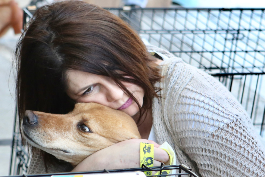 16η Ημέρα Υιοθεσίας Pet City - topetmou.gr: Δέκα σκυλάκια βρήκαν σήμερα ένα παντοτινό σπίτι