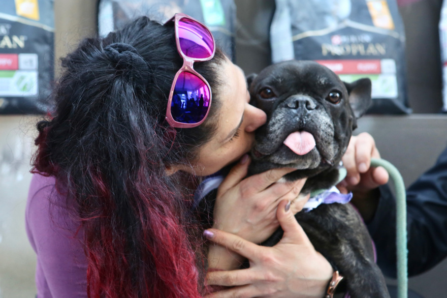 16η Ημέρα Υιοθεσίας Pet City - topetmou.gr: Δέκα σκυλάκια βρήκαν σήμερα ένα παντοτινό σπίτι