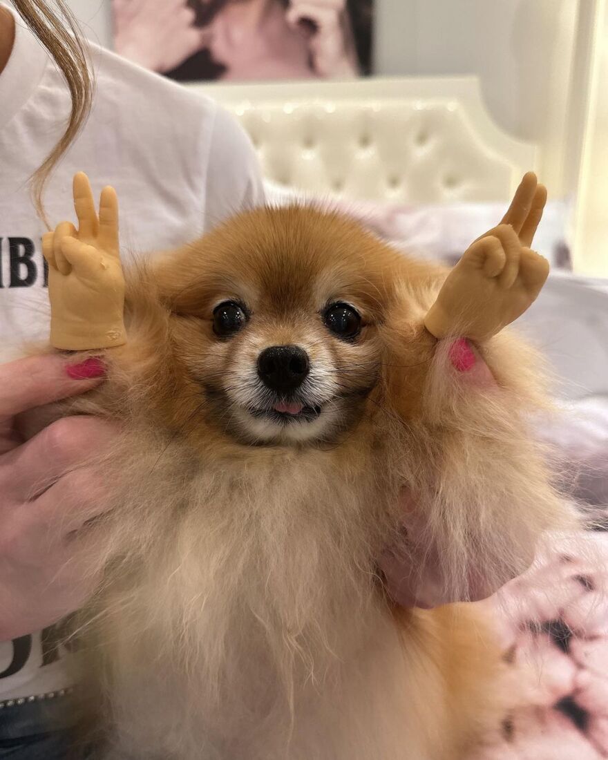 H Κέιτ Μπέκινσεϊλ βγήκε από το νοσοκομείο μετά από έναν μήνα - Η αινιγματική ανάρτηση για το πρόβλημα υγείας της