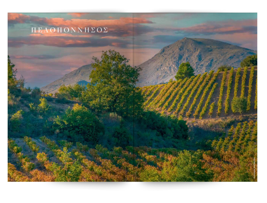 150 σπουδαία ελληνικά λευκά και ροζέ κρασιά