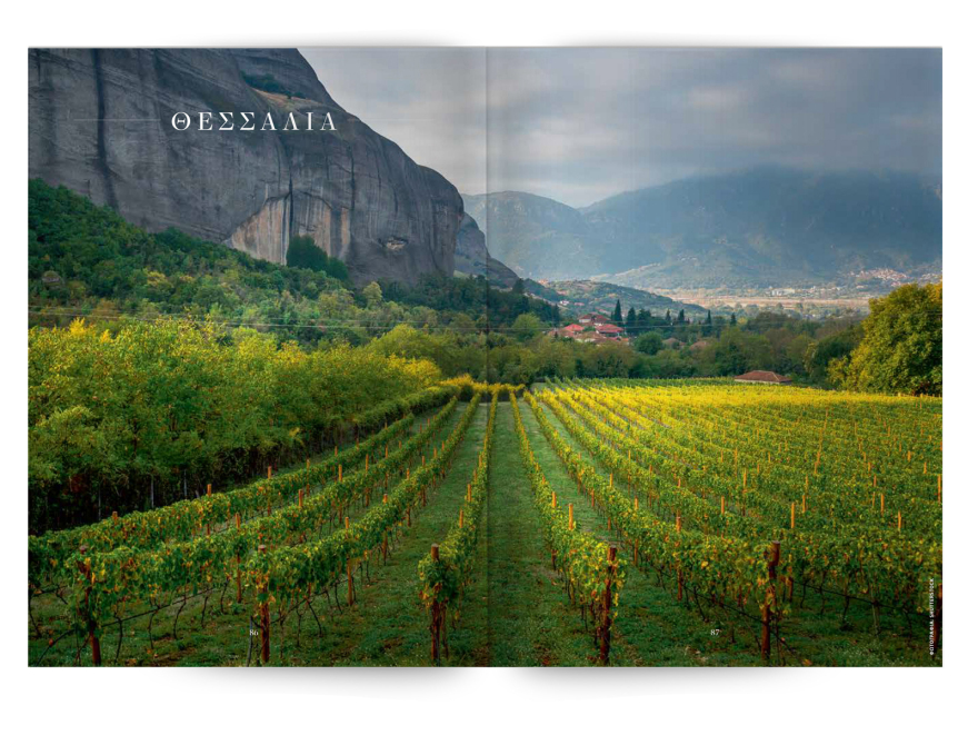 150 σπουδαία ελληνικά λευκά και ροζέ κρασιά