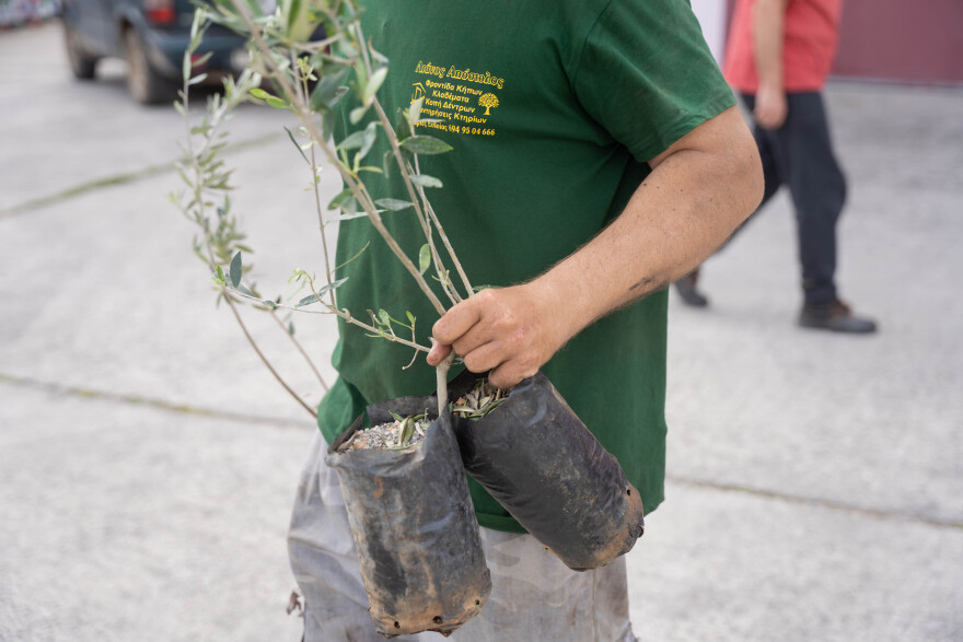 Χιλιάδες καρποί αγάπης για την Ημέρα της Γης από το φυσικό μεταλλικό νερό Βίκος