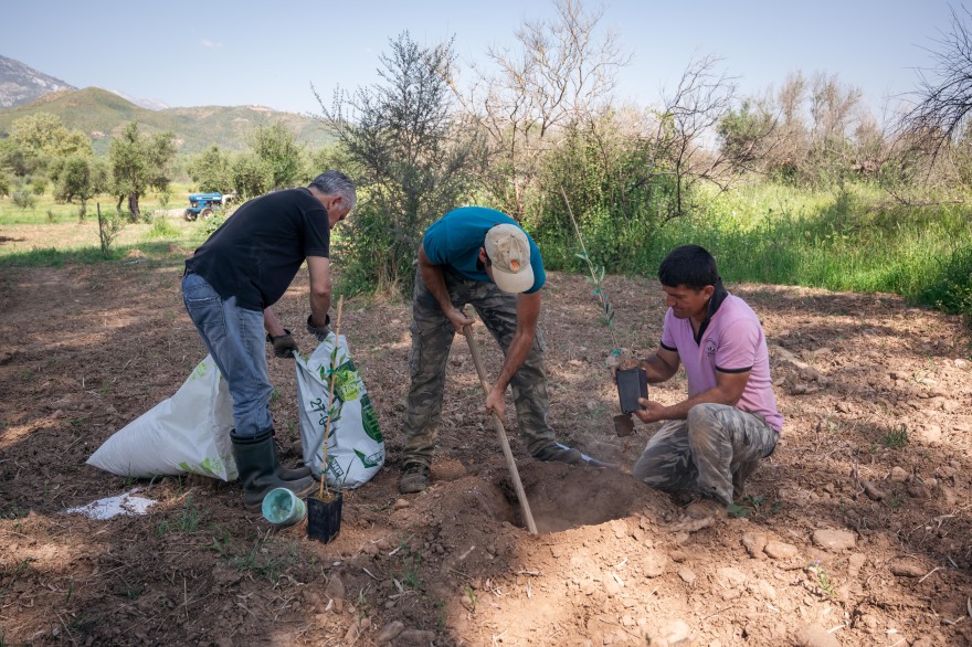 Χιλιάδες καρποί αγάπης για την Ημέρα της Γης από το φυσικό μεταλλικό νερό Βίκος