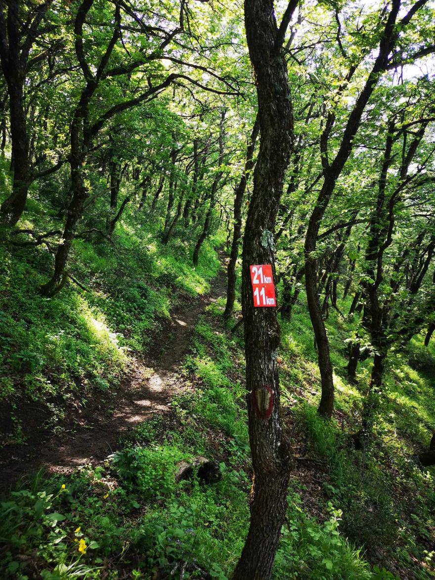 Έρχεται το 3ο «Ipsilantis Trail» με ανεπανάληπτες διαδρομές στη βοιωτική φύση