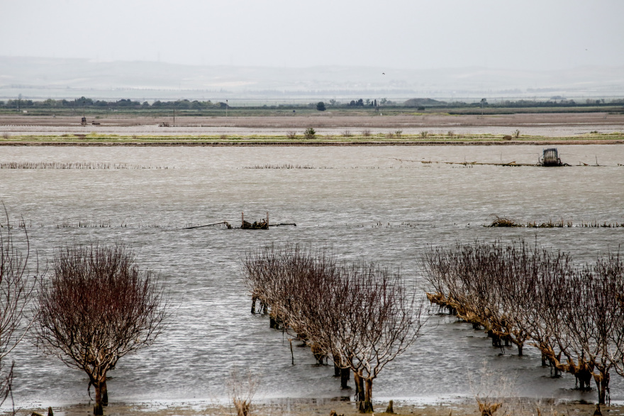 Κακοκαιρία: Πλημμύρες στην Καρδίτσα, διακοπές ρεύματος στον Βόλο - Έντονα φαινόμενα σε 6 περιοχές σήμερα