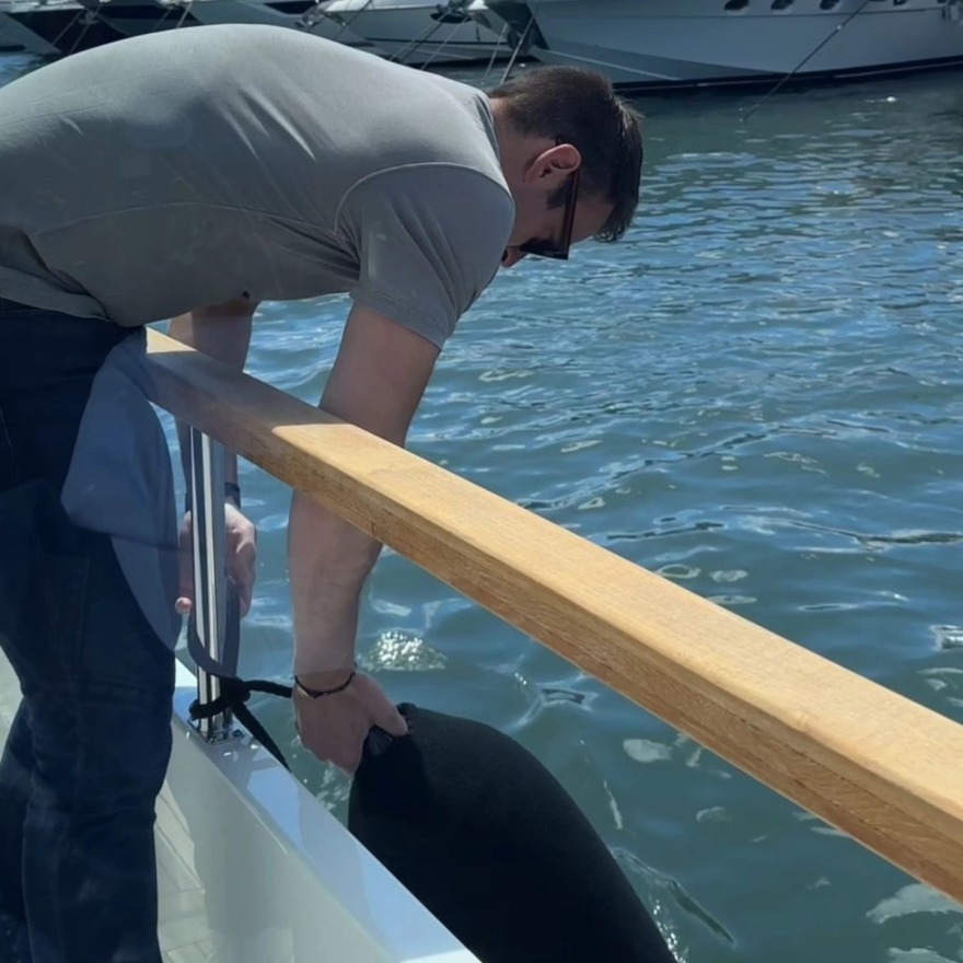 Κασσελάκης: Ξεκίνησε πολιτική... κρουαζιέρα 1.000 ναυτικών μιλίων σε 29 νησιά - Φωτογραφίες