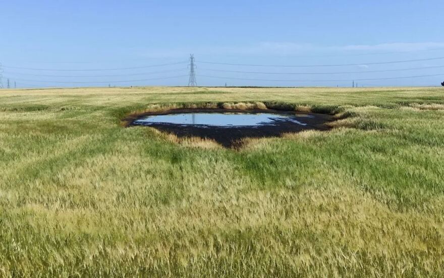 Θεσσαλονίκη: Εταιρεία ενέργειας έριχνε επί μήνες υγρά απόβλητα σε χωράφια - Δείτε φωτογραφίες