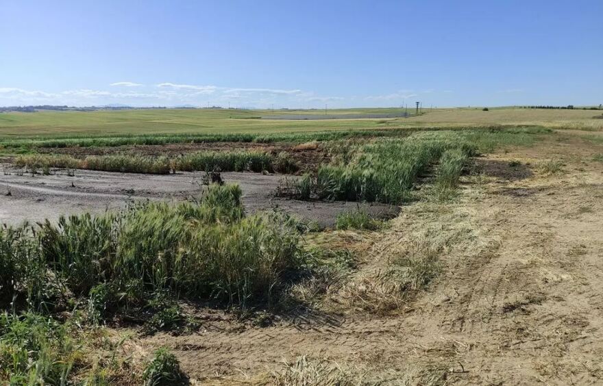 Θεσσαλονίκη: Εταιρεία ενέργειας έριχνε επί μήνες υγρά απόβλητα σε χωράφια - Δείτε φωτογραφίες