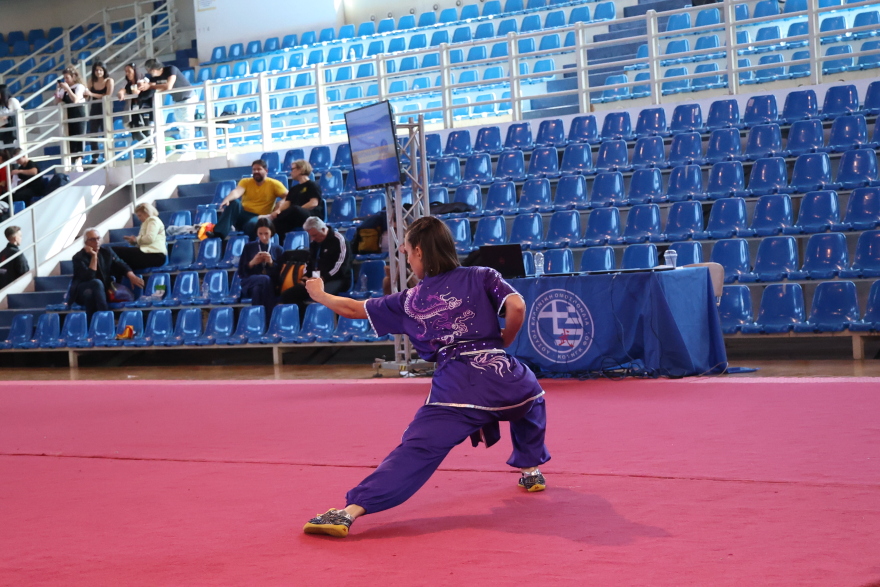 Ρεκόρ συμμετοχών στο 24ο Πανελλήνιο Πρωτάθλημα Γουσου Κουνγκ φου: Στόχος η Ολυμπιάδα Νέων στο Ντακάρ 