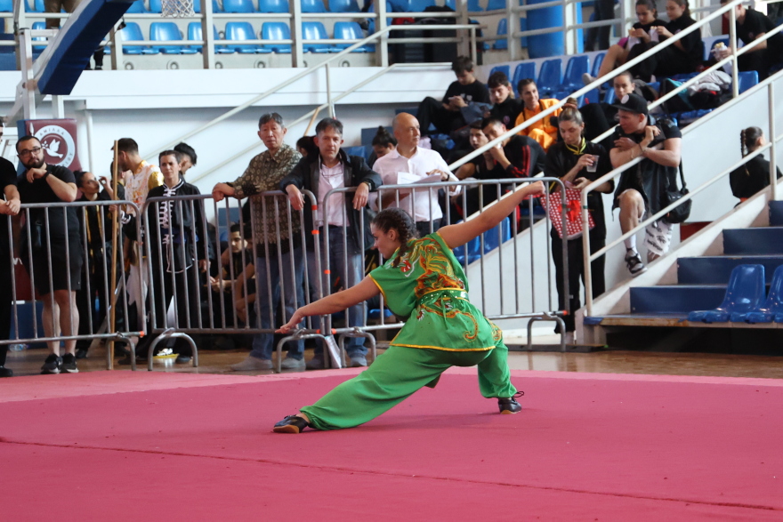 Ρεκόρ συμμετοχών στο 24ο Πανελλήνιο Πρωτάθλημα Γουσου Κουνγκ φου: Στόχος η Ολυμπιάδα Νέων στο Ντακάρ 