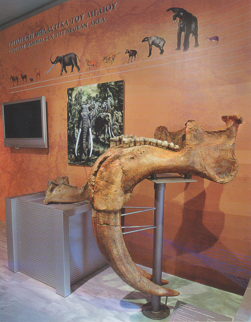 Jurassic Park στη Λέσβο: Νέα ευρήματα 20 εκατ. χρόνων