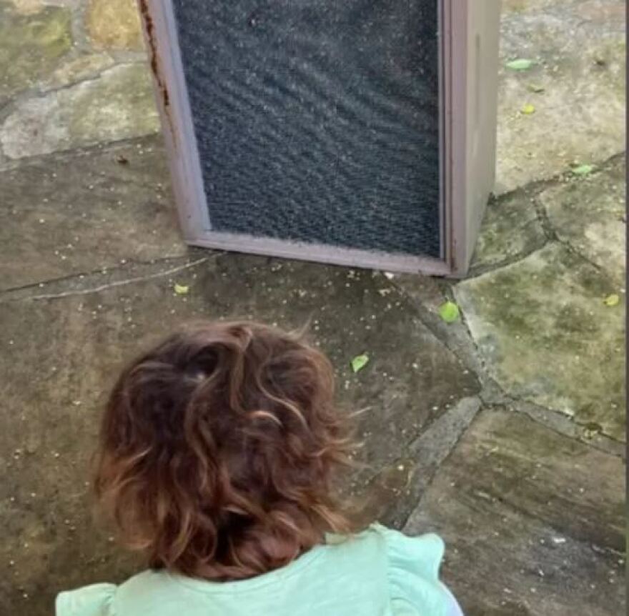 HΠΑ: 3χρονο κοριτσάκι πίστευε ότι υπήρχαν τέρατα στο δωμάτιό της - Τελικά ήταν... 60.000 μέλισσες