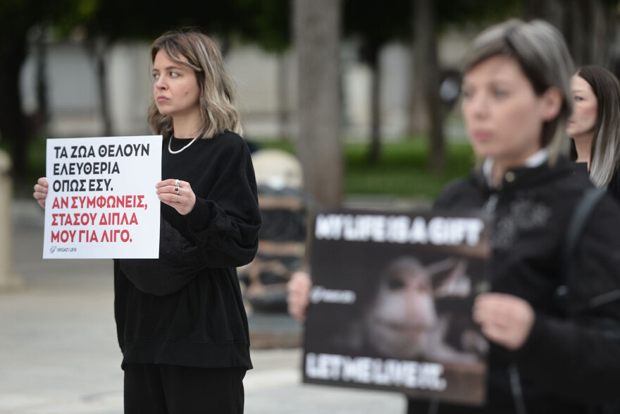 Αυτό το Πάσχα γιόρτασε χωρίς θύματα, είπαν δεκάδες vegan στο Σύνταγμα - Δείτε βίντεο και φωτογραφίες