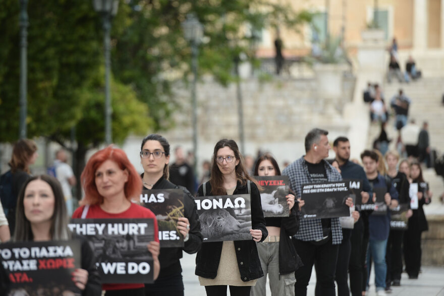Αυτό το Πάσχα γιόρτασε χωρίς θύματα, είπαν δεκάδες vegan στο Σύνταγμα - Δείτε βίντεο και φωτογραφίες