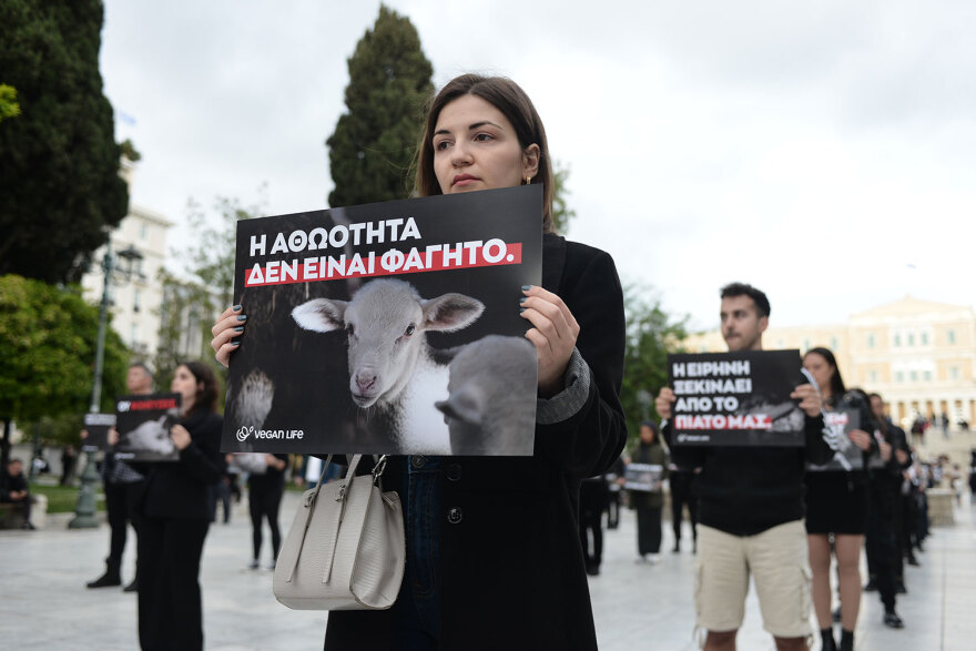 Αυτό το Πάσχα γιόρτασε χωρίς θύματα, είπαν δεκάδες vegan στο Σύνταγμα - Δείτε βίντεο και φωτογραφίες