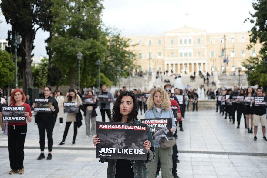 Αυτό το Πάσχα γιόρτασε χωρίς θύματα, είπαν δεκάδες vegan στο Σύνταγμα - Δείτε βίντεο και φωτογραφίες
