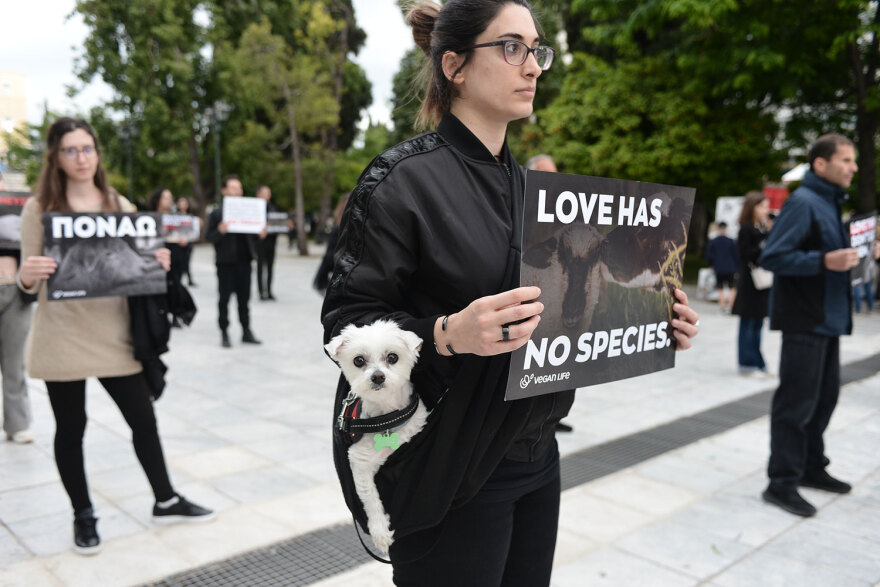 Αυτό το Πάσχα γιόρτασε χωρίς θύματα, είπαν δεκάδες vegan στο Σύνταγμα - Δείτε βίντεο και φωτογραφίες