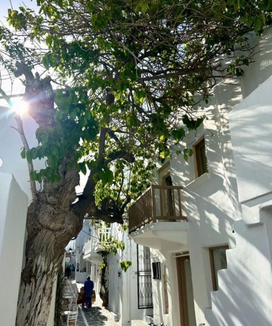 Ντορέττα Παπαδημητρίου: Στην Πάρο με τους γιους της - Οι φωτογραφίες που ανέβασε