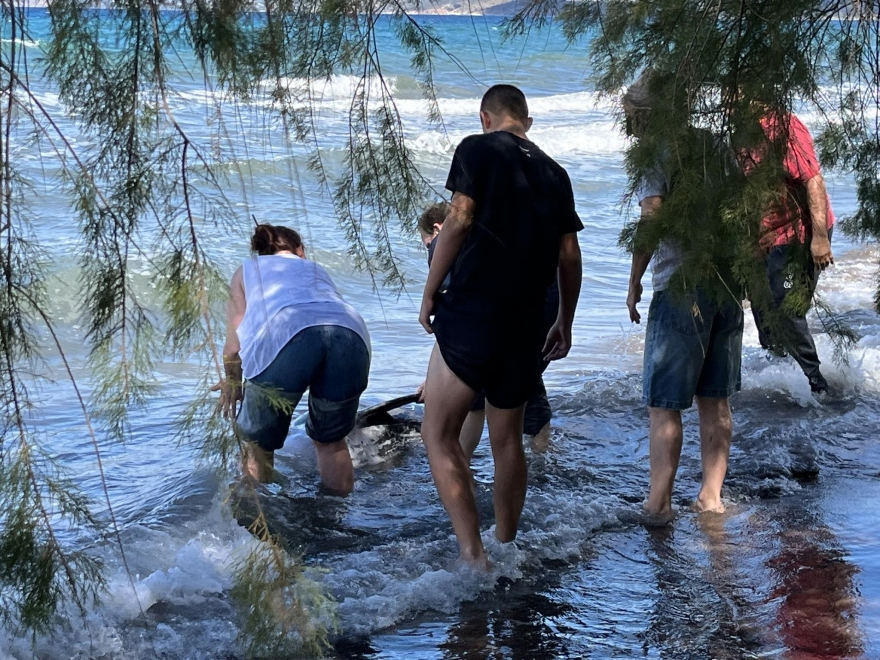 Ναύπλιο: Λουόμενοι έσωσαν δελφινάκι που παρασύρθηκε στα ρηχά στην παραλία των Ιρίων - Βίντεο και φωτογραφίες 