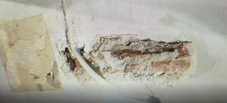 Φυλακές Κορυδαλλού: Πιστόλι σε έξι κομμάτια μέσα σε τοίχο κελιού - Δείτε φωτογραφίες