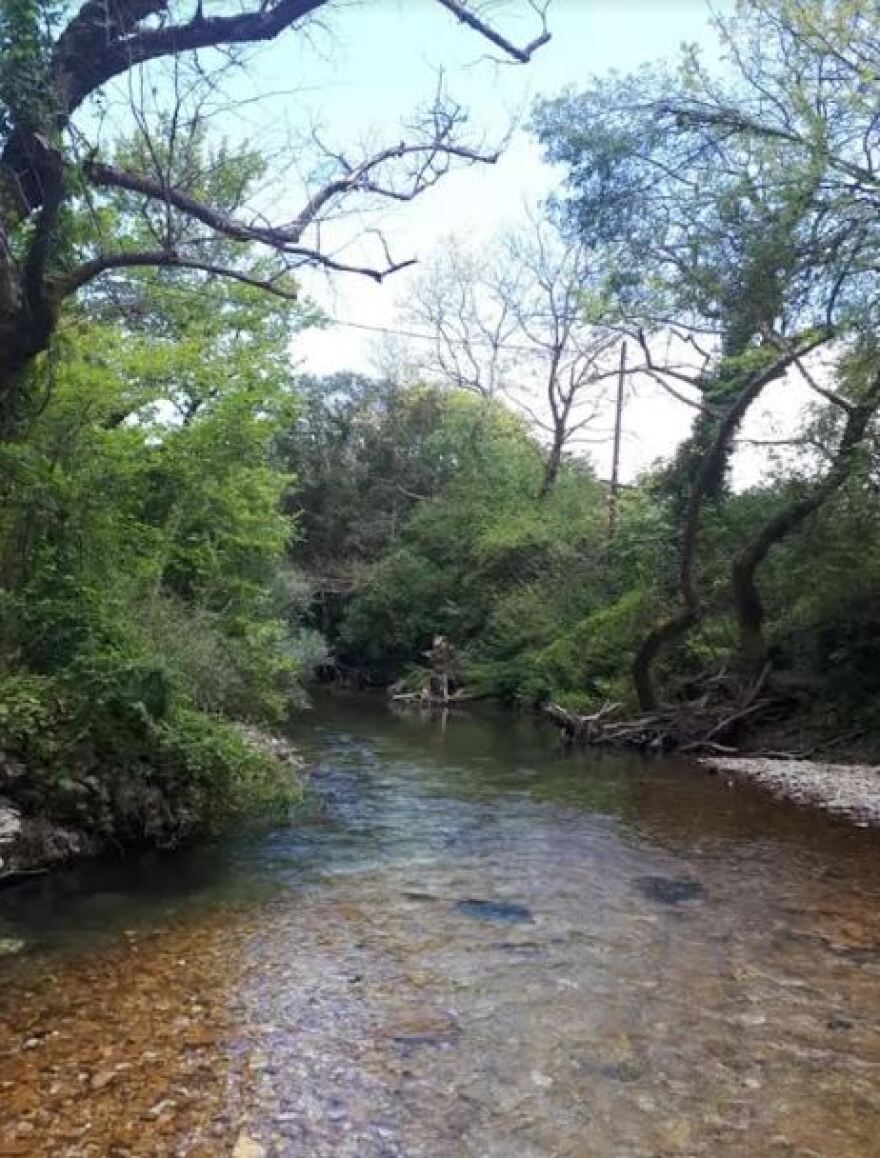Τα σπάνια αρχαιολογικά ευρήματα στο Πωγώνι Ιωαννίνων 